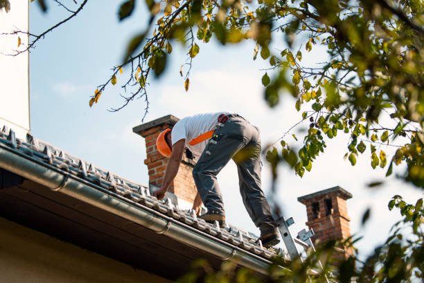 Best Rubber Roofing (EPDM, TPO)  in Riverview, MI