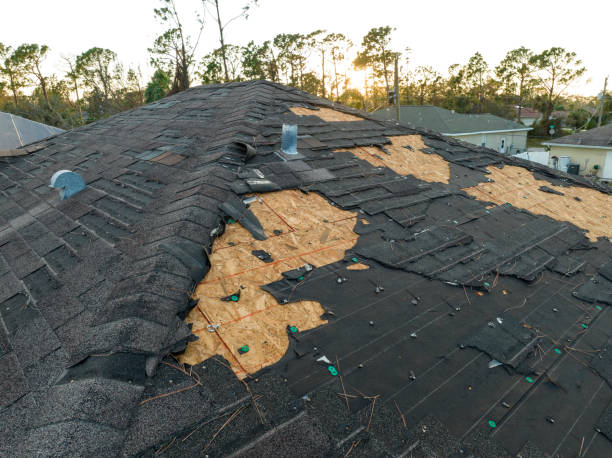 Best Asphalt Shingle Roofing  in Riverview, MI