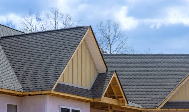 Best Skylight Installation and Repair  in Riverview, MI