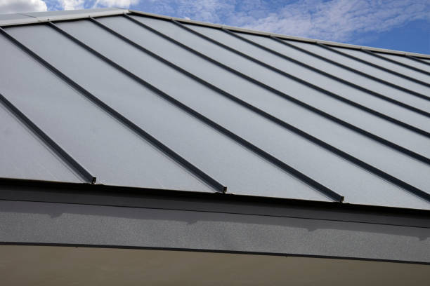 Best Asphalt Shingle Roofing  in Riverview, MI